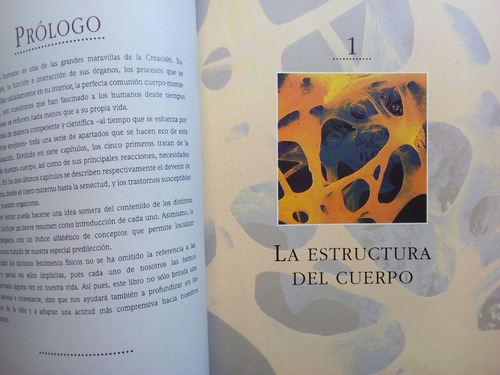 El Asombroso Cuerpo Humano - Reader's Digest (Usado)