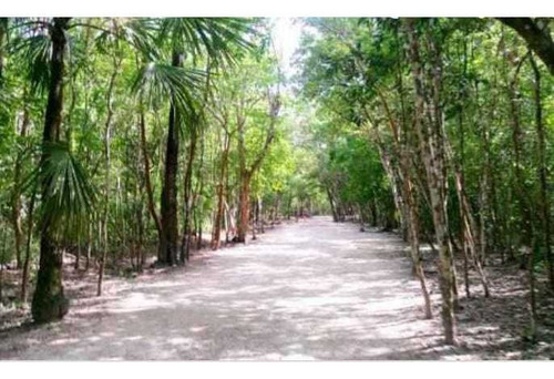 Qh5 1255 Preventa Terrenos U/s Mixto, Fracc. Con 4 Cenotes Yucatán