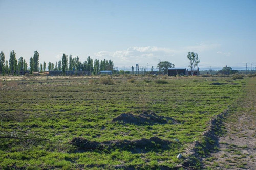 Imagen 3 de 6 de Lote 2.000 M En Venta San Rafael Mendoza