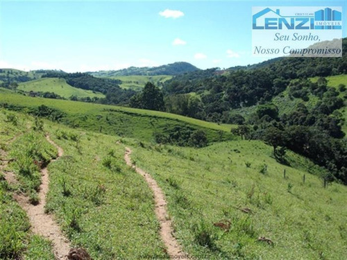 Imagem 2 de 12 de Sítios À Venda Em Munhoz/mg - Compre O Seu Sítios Aqui! - 1397458