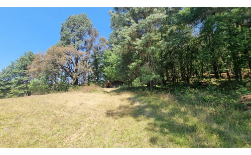 Proyecto Nuevo En Venta, Amento