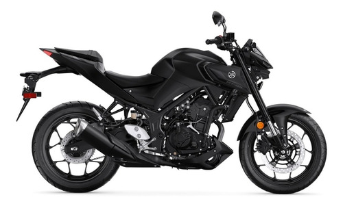 Imagen 6 de 25 de Motocicleta - Yamaha - Mt-03 A