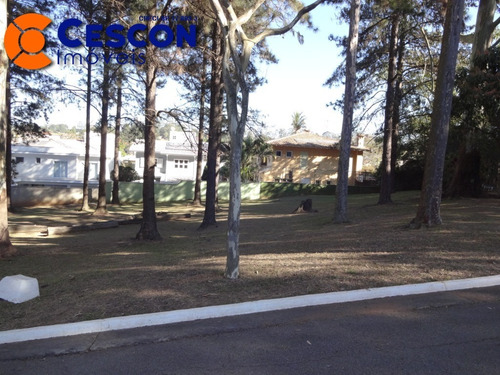 Imagem 3 de 8 de Terreno - Te00237 - 68703044