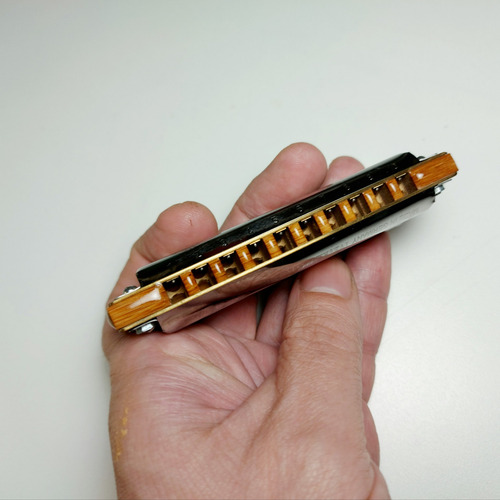Imagen 7 de 9 de Afinación De Armónicas-melódicas-reparación Integral-luthier