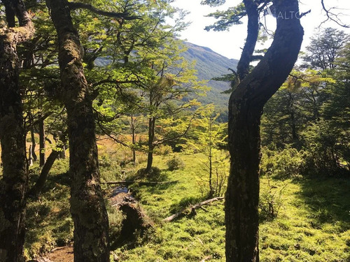 Sitio En Venta En Cisnes