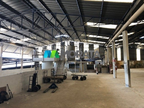 Imagem 11 de 15 de Galpao - Distrito Industrial (vale Do Jatoba) - Ref: 2812 - L-mta2812