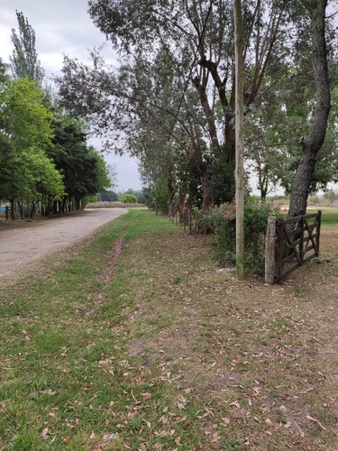 Imagen 20 de 22 de Vendo O Permuto Excelente Quinta Sobre Ruta 2 Km 63