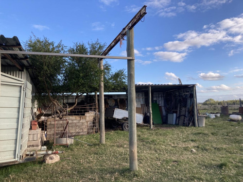 Imagen 9 de 21 de Chacra De 8 Hás Con Vivienda Próximo A Tala