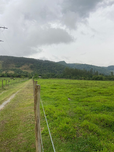 Imagem 4 de 14 de S01- 1.000m² Apenas 49.990 /100% Plano