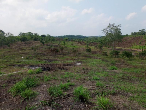 Venta De Terrenos Colonia Altamira Tuxpan Veracruz.