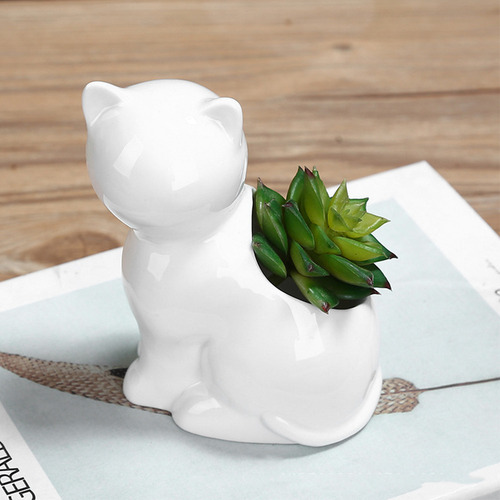 Maceta De Cerámica Con Forma De Gato, Soporte Para Bonsáis