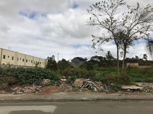 Imagem 15 de 17 de Terreno Residencial À Venda, Cidade Boa Vista, Suzano. - Reo326389