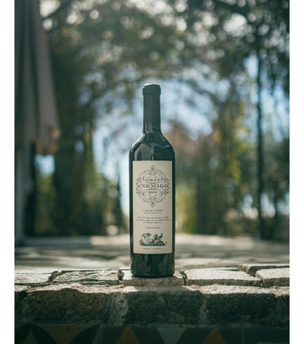 Imagen 2 de 2 de Vino tinto Cabernet franc GRAN ENEMIGO 2015 bodega La Aleanna 750 ml