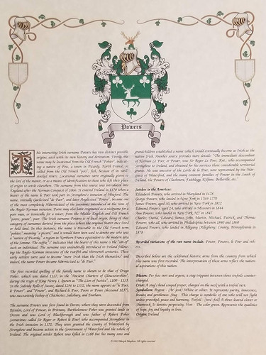 Find Your Name Here - Escudo De Armas, Escudo E Histori...
