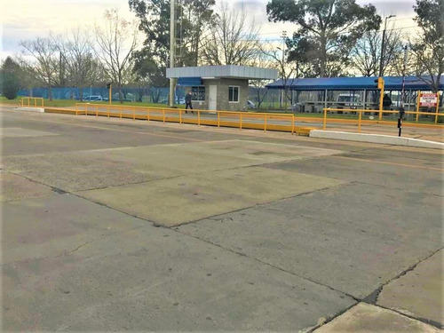 Imagen 20 de 24 de Nave Industriales Disponible De 3.445m2 Sin Expensas