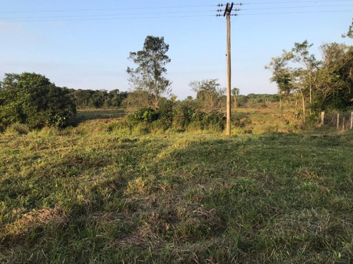 Imagem 5 de 29 de Fazenda À Venda, 3509000 M² Por R$ 2.000.000 - Centro - Pariquera-açu/sp - Fa0216