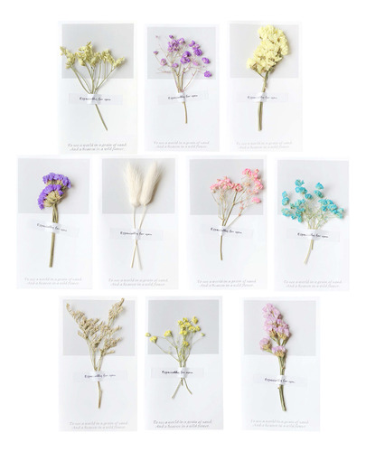12pcs Teachers' Day Gift Valentine's Day Dried Flower Greeti