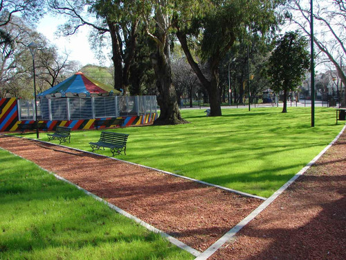 Semillas Ryegrass Anual Estanzuela Picasso 1kg - 20mt2