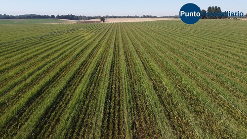 Imagen 13 de 13 de Abundante Agua. Uso Agrícola Y Frutícola