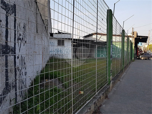 Imagem 8 de 19 de Excelente Terreno No Largo Do Socorro - Reo127155