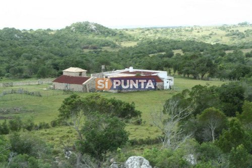 Imagen 22 de 30 de Campo Turistico Cerca De Punta Del Este
