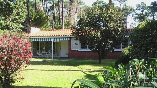 Oportunidad. Casa En Venta De 3 Dormitorios En Playa Mansa Punta Del Este