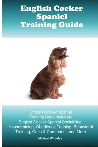 English Cocker Spaniel Training Guide English Cocker Spaniel