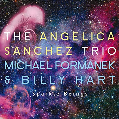 Cd Sunnyside Sparkle Beings Angelica Sanchez Billy Hart