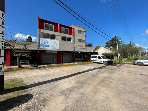 Imagen 16 de 30 de Venta 5 Locales Y 3 Duplex Sobre Ruta 8 Del Viso