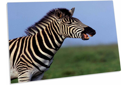 3drose Plains Zebra, Tala Private Reserve, Kwazulu-natal. -