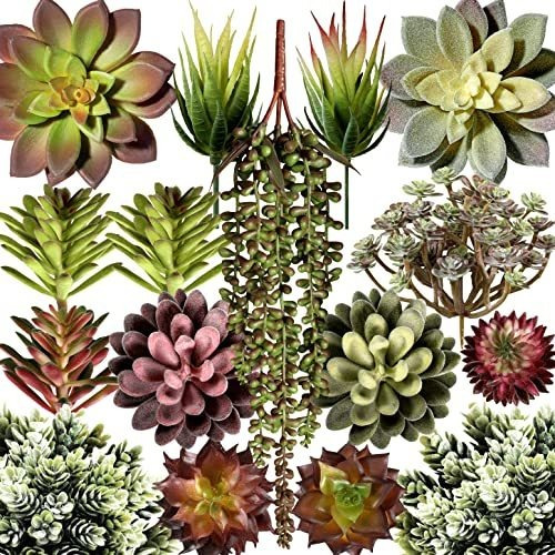 Miltonson Plantas Suculentas Artificiales Surtidas Falsas, P