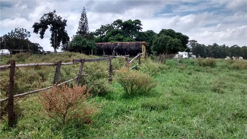 Imagem 6 de 22 de Sítio Rural À Venda, 20 Alqueires, Pinheirinho, Itu. (atrás Terras Ii) - Si0002
