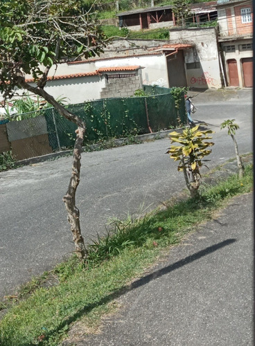 Imagen 1 de 15 de Grupo Inmobiliario Acres 20.2 Alquila Amplia Casa Para Depósito O Negocio En San Antonio De Los Altos Sector El Limón Lv