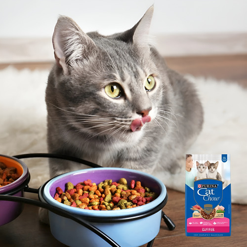 Cat Chow Gatitos 24 Kilos