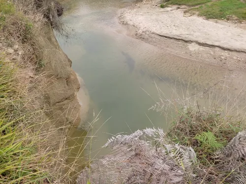 Lotes En Concepcion Planos Con Acceso Al Rio