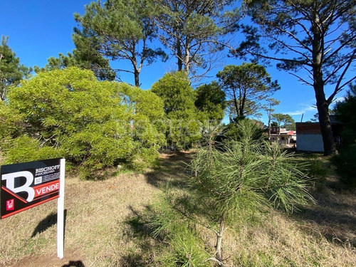 Imagen 9 de 16 de Hermoso Terreno, Zona Golf. Villa Gesell