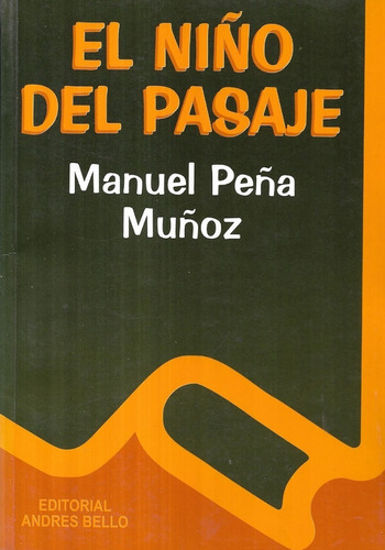 El Niño Del Pasaje / Manuel Peña Muñoz