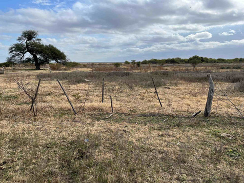 Vende 1508 Has Victoria Entre Rios Oportunidad