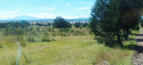 Tlaxcala , La Trasquila, Atlangatepec, Terreno, Venta