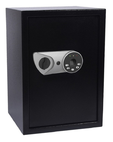 Cofre Biometrico Safewell 50 Fpk