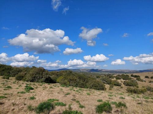 Quinta En Venta - Monoambiente En Maldonado (ref: Bpv-8881)