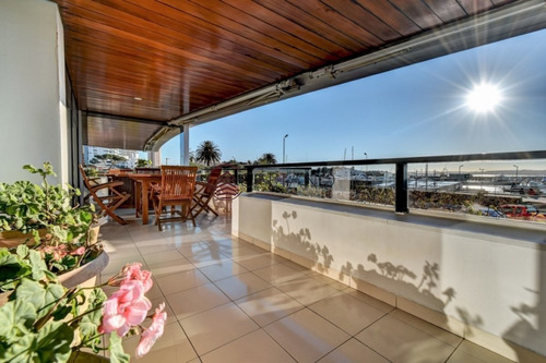 Amplio Apartamento Frente Al Puerto De Punta Del Este!!-ref:561