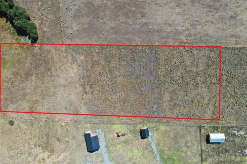 Terreno 5.000 M2 A Pocos Metros Pueblo Malalcahuello
