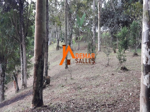 Imagem 19 de 23 de Chacara - Ch00104 - 69486525