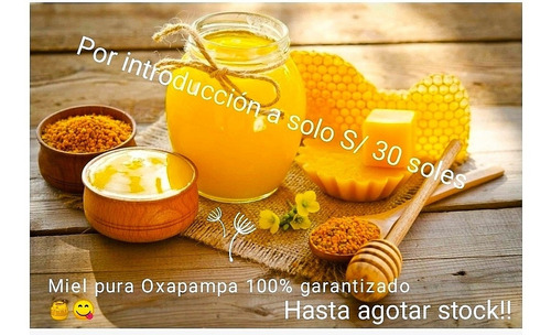 Miel De Abeja 100% Pura De Oxapampa(kilo) 