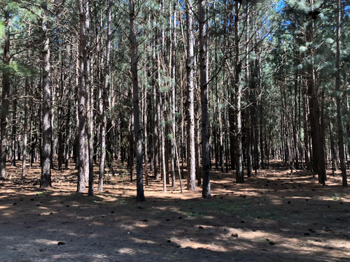 Chacras En Venta En El Pinar, Proximo A Carmelo, Fracciones Con Excelentes Vistas, Financiacion