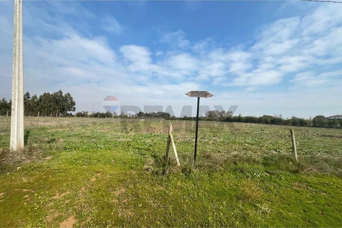 Se Vende Sitio 5000 M2 Loteo Haras De Huiquilemu