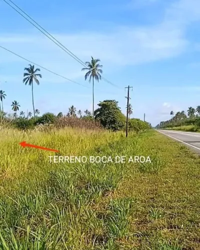 Terreno En Boca De Aroa