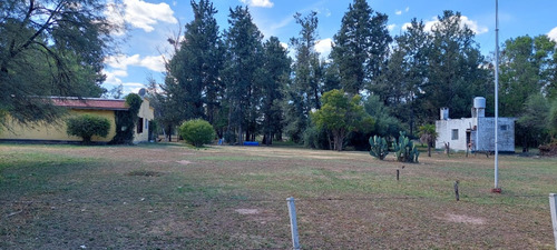 Campo 383 Ha En Conlara Merlo Lafinur San Luis. Con Riego Y Natural. Para Cría, Engorde, Tambo.