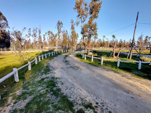 Venta Parcela 5.000 M2 Con Casa 5d/1b En Litueche